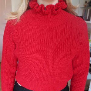 Nasty Gal Red Cropped  Sweater